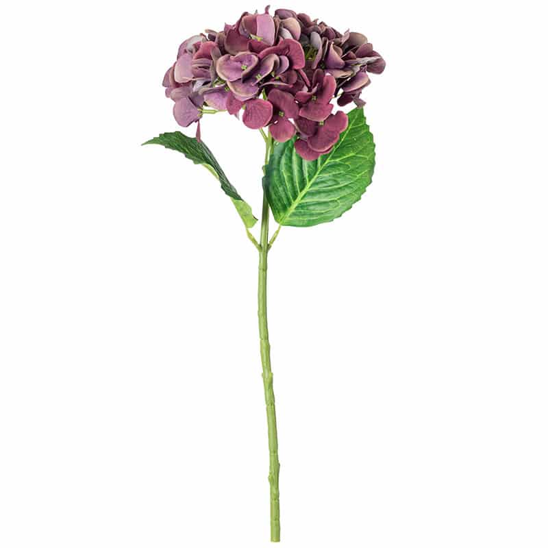 Mauve Hydrangea Stem