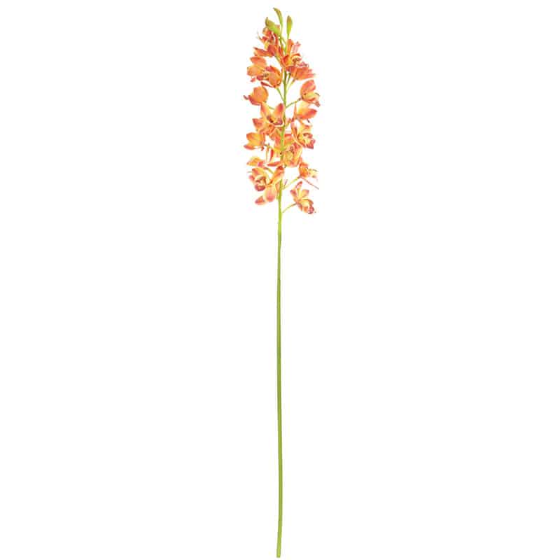 Orange Cymbidium Orchid Stem