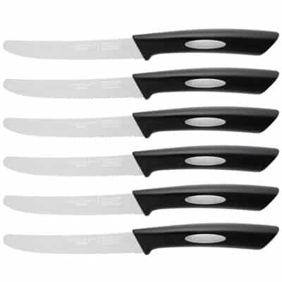 6 Piece Steak Knife Set