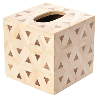 Geometric Bone Tissue Box