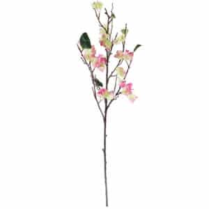 Fuchsia Bougainvillea Stem