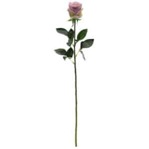 Lavender Rose Stem